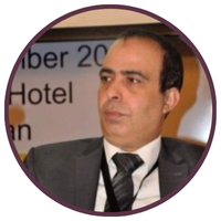 Eng. Hany Abou Hashem